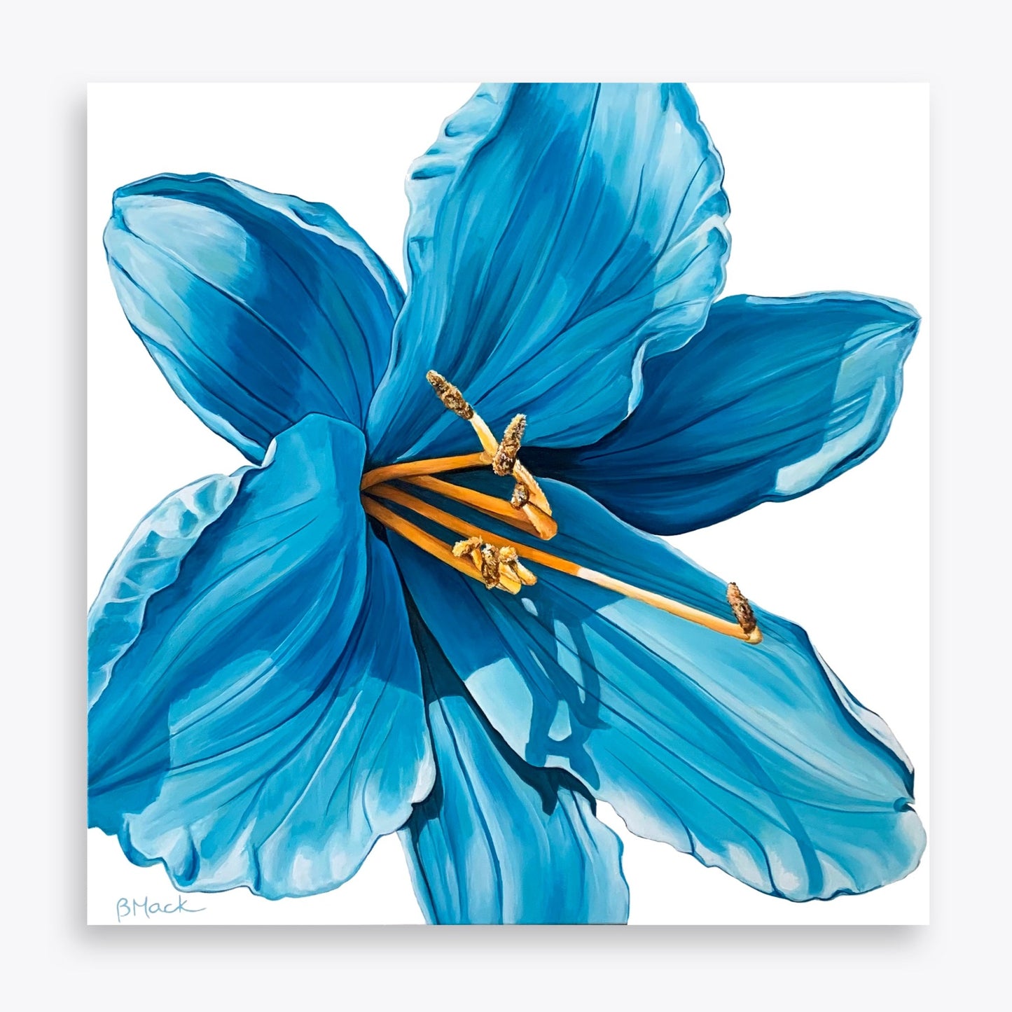 "BLUEBELL" Print