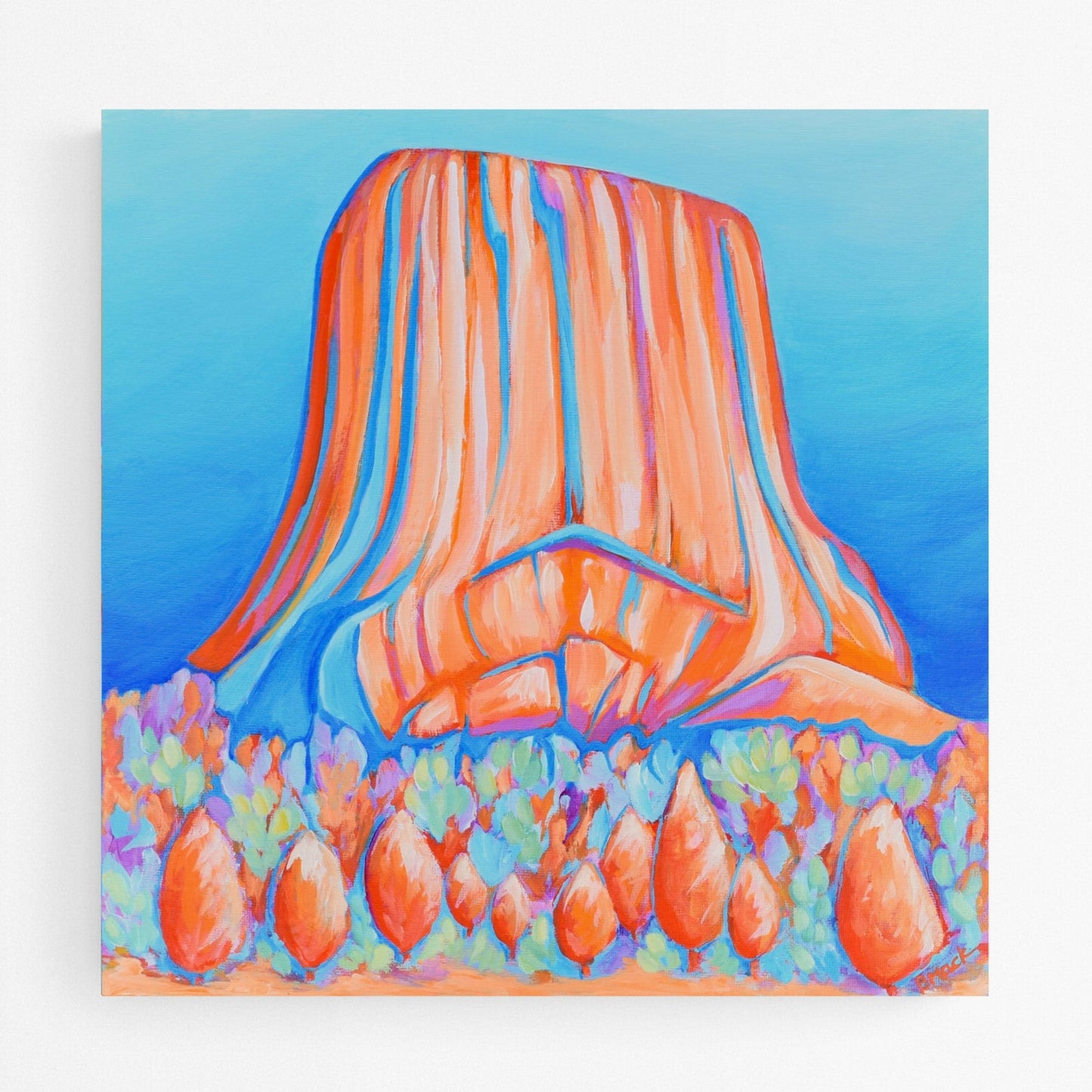 "DEVIL'S TOWER" Print