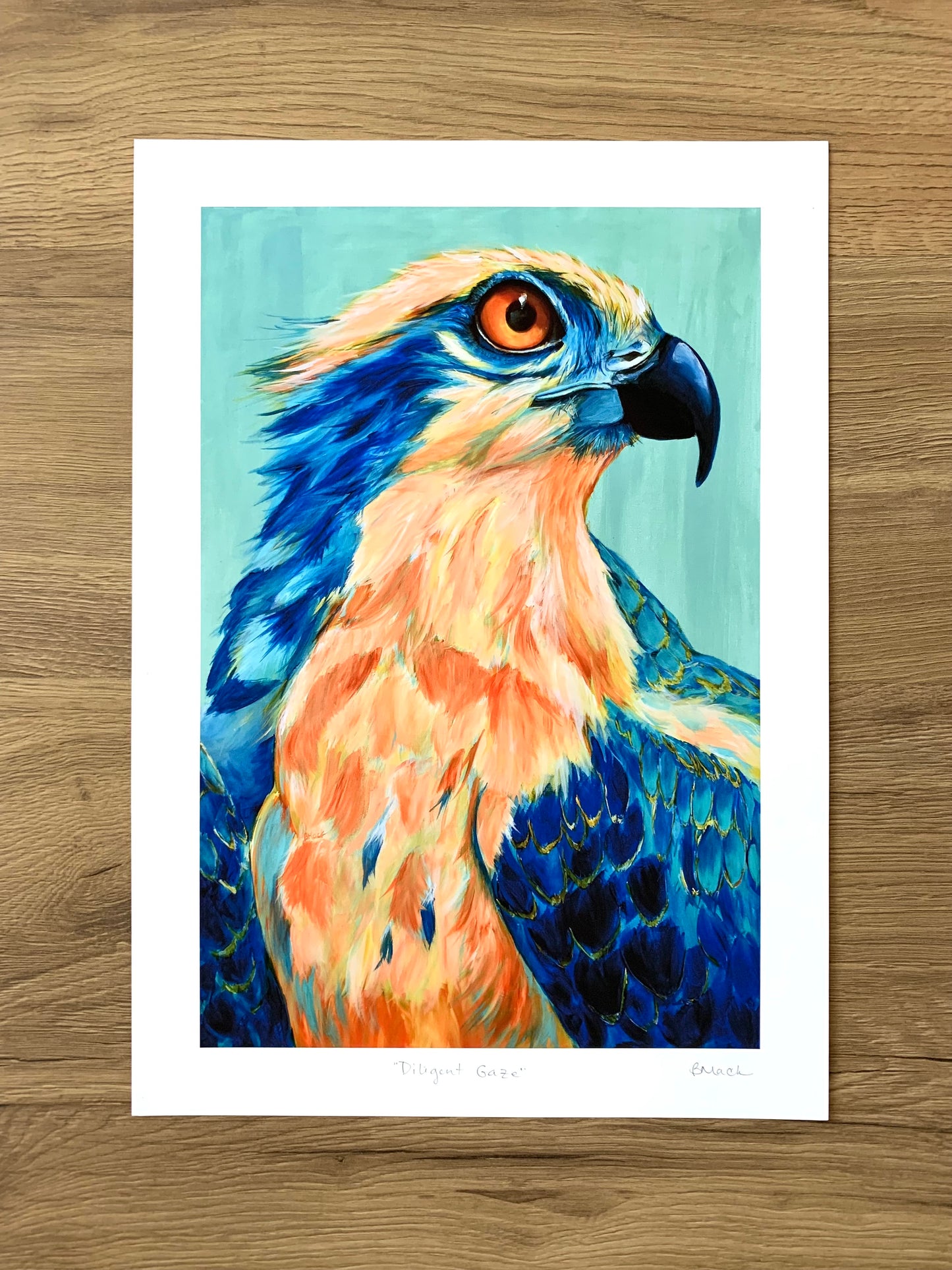 "DILIGENT GAZE" Print