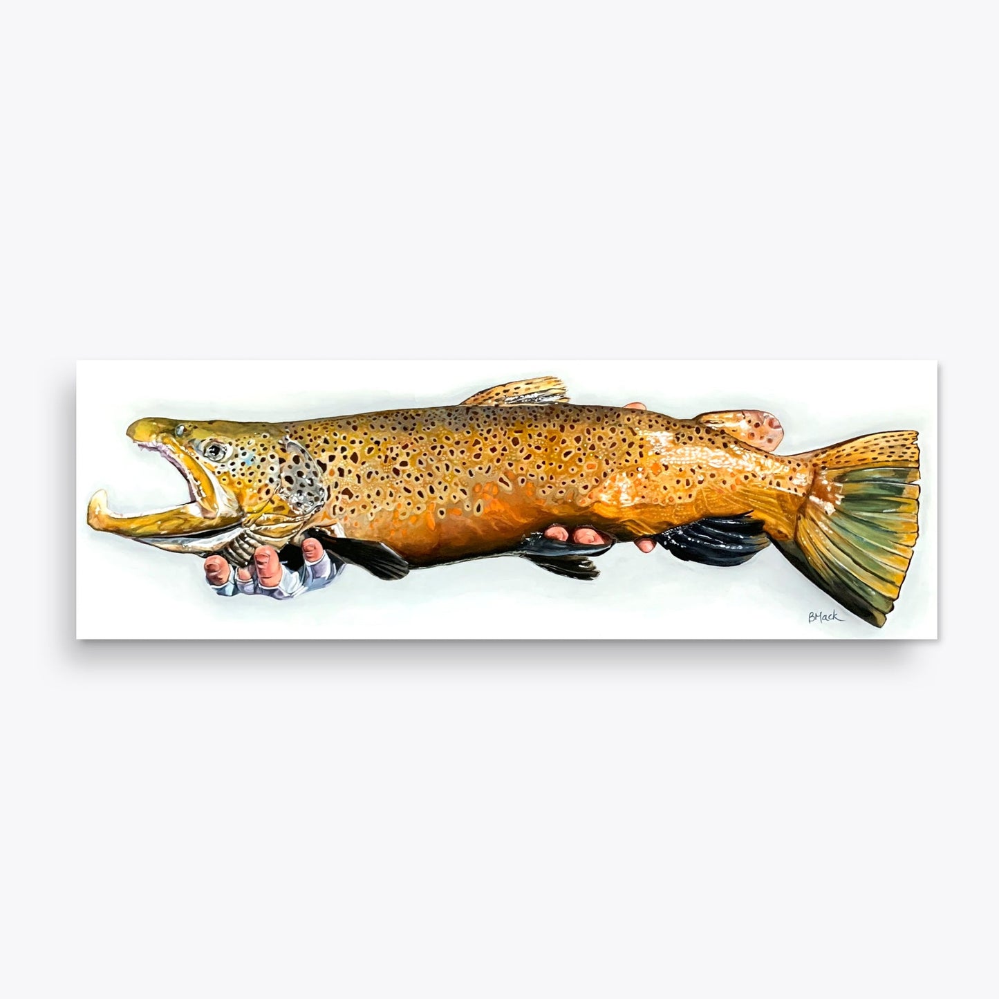 "KINGFIN" Framed Acrylic Painting 12x36