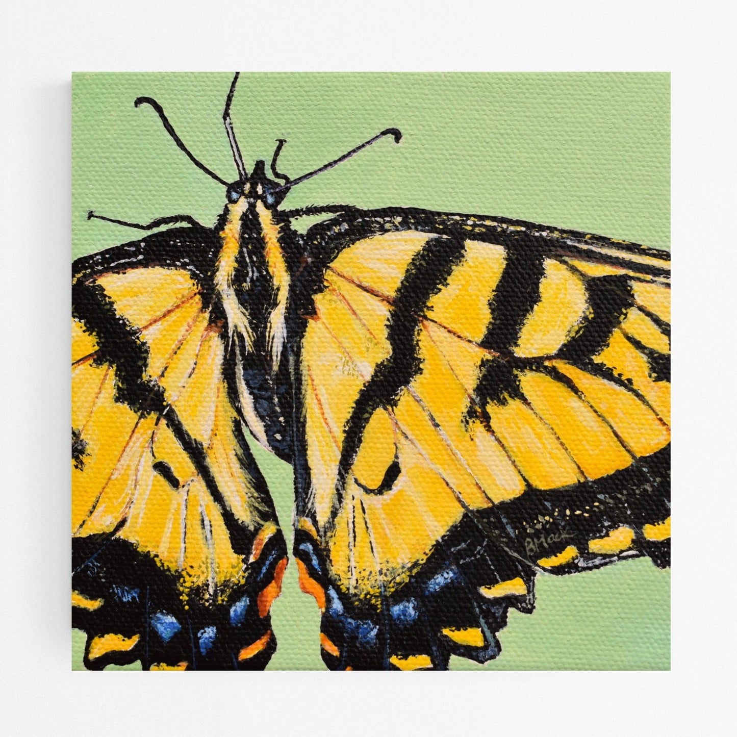 "NEW CREATION" Print