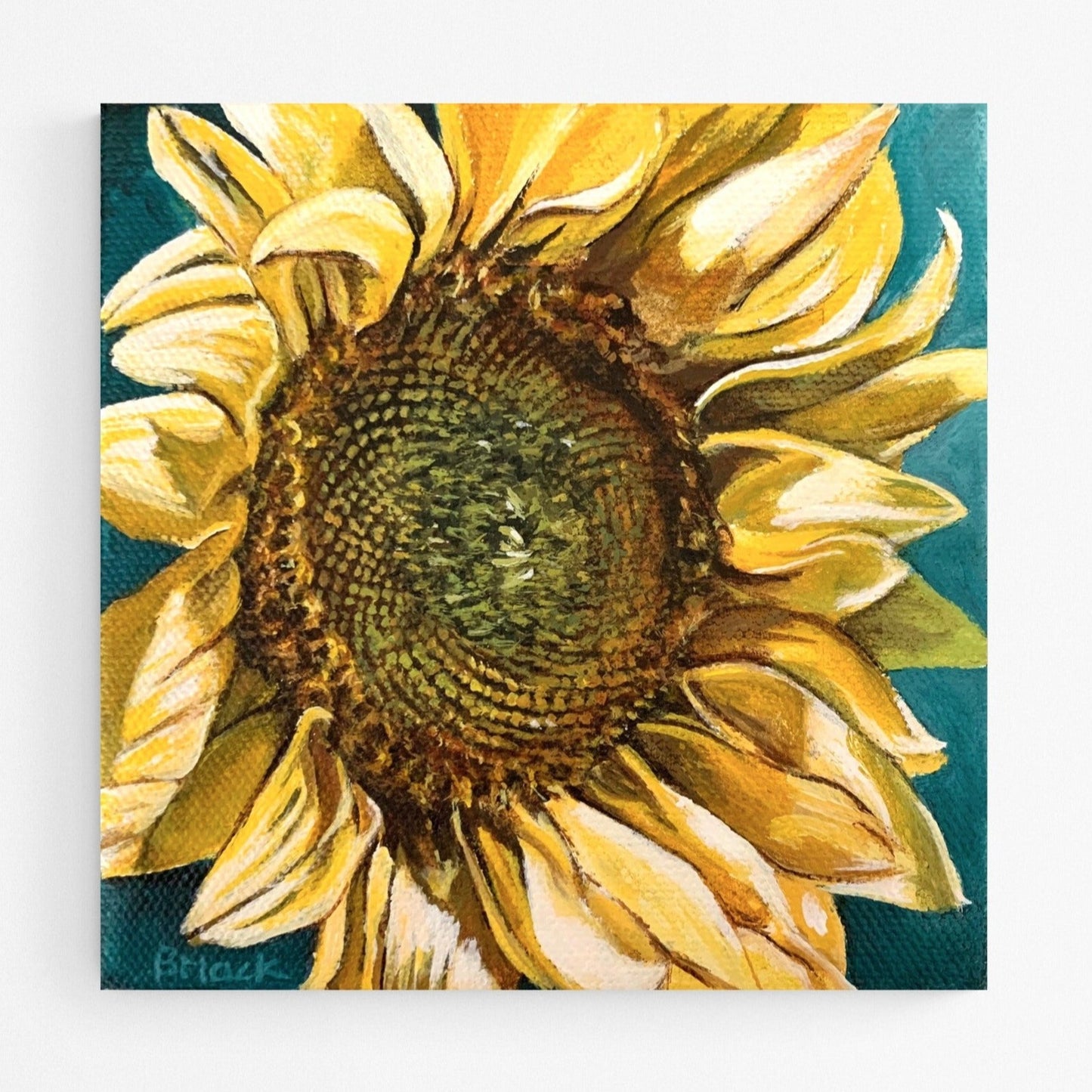 "SUN CHASER" Print