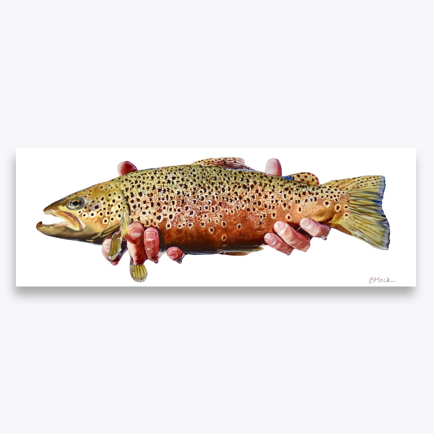 "ANGLER WRANGLER" Framed Acrylic Painting 10x28